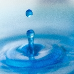 本質を見抜く眼をつくる o0150015015557890405 1 - 本質を見抜く眼をつくる