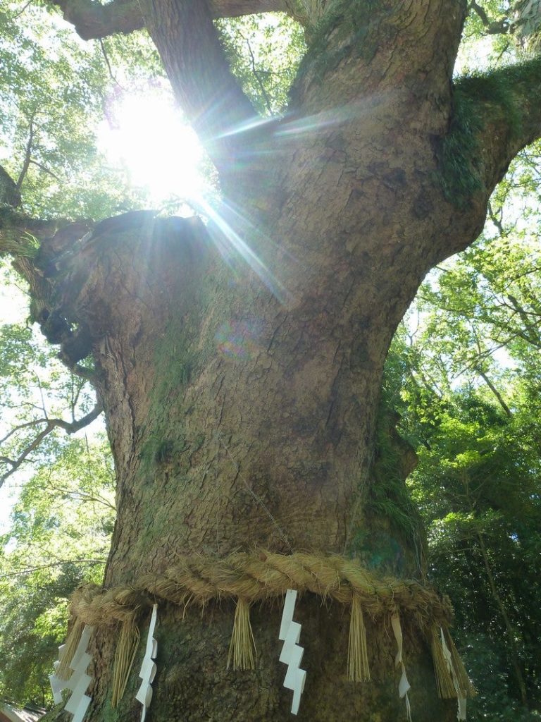 o0800106715553506589 1 768x1024 - 人間であるとはどういうことか