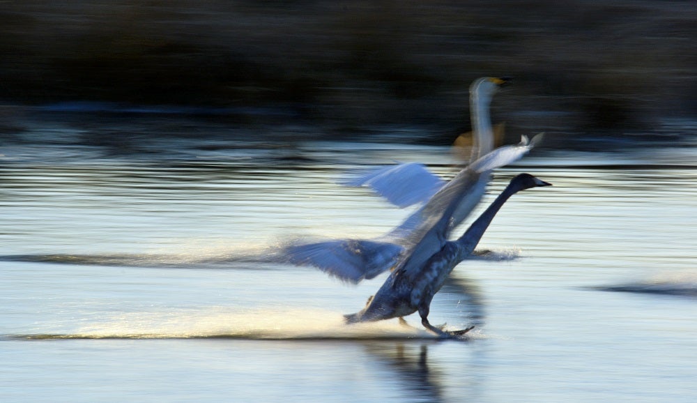 o1000057815540372398 - 愛の奇跡の扉が開かれる時