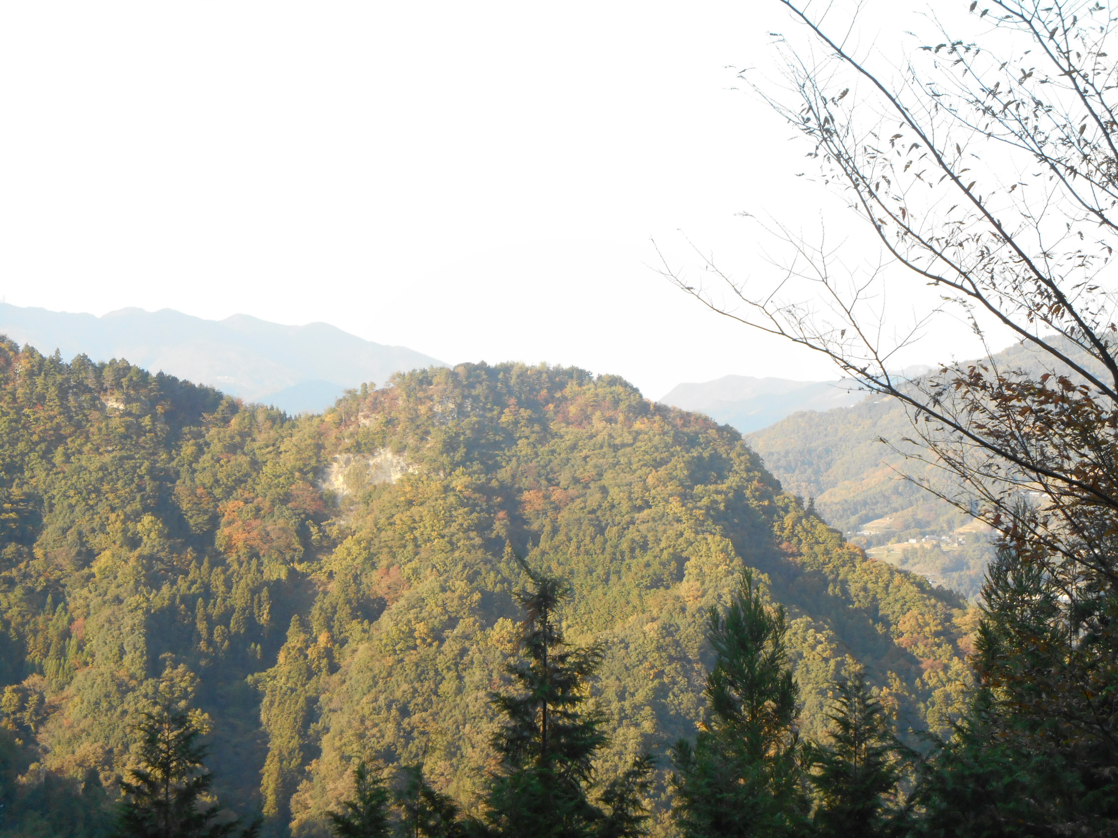 DSCN2183 - 【73回女神ツアー】'24秋🍂女神ツアーを開催